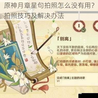 原神月章星句拍照怎么没有用?拍照技巧及解决办法