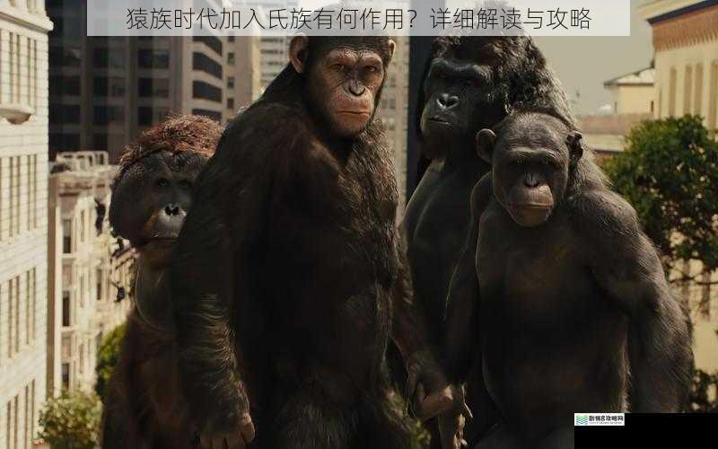 猿族时代加入氏族有何作用?详细解读与攻略
