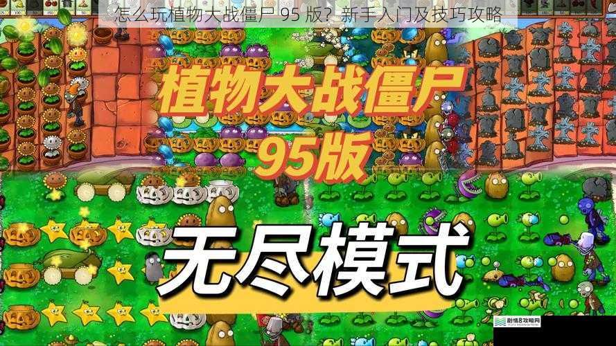 怎么玩植物大战僵尸 95 版?新手入门及技巧攻略