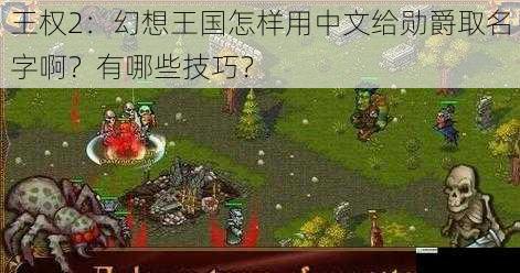 王权 2:幻想王国怎样用中文给勋爵取名字啊?有哪些技巧?