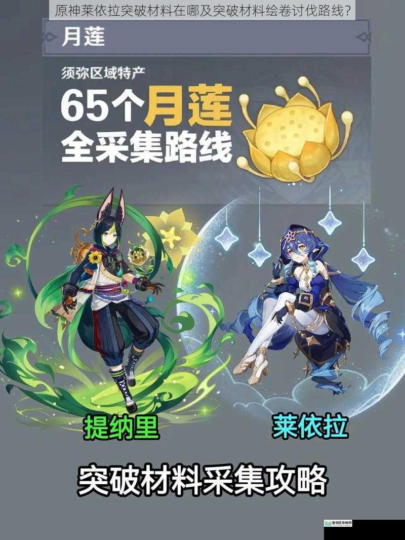 原神莱依拉突破材料在哪及突破材料绘卷讨伐路线?