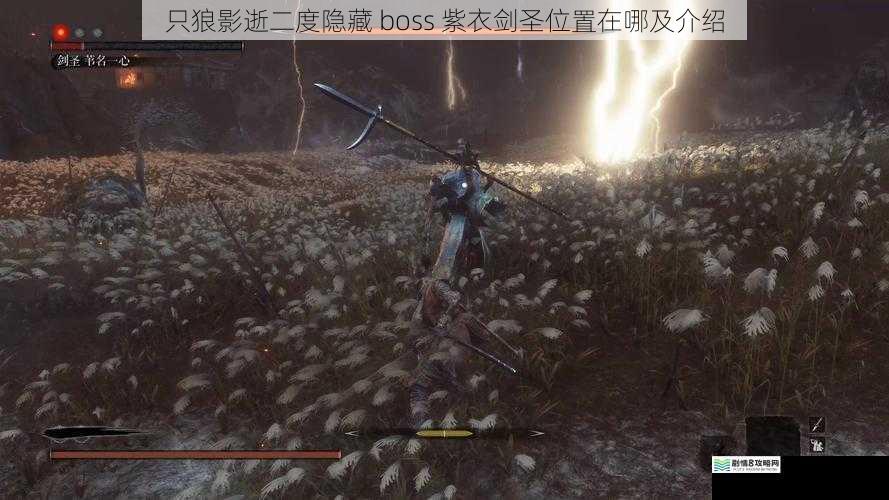 只狼影逝二度隐藏 boss 紫衣剑圣位置在哪及介绍