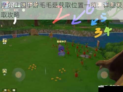 摩尔庄园手游毛毛菇获取位置一览:详细获取攻略