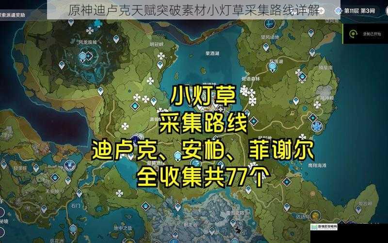 原神迪卢克天赋突破素材小灯草采集路线详解