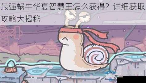 最强蜗牛华夏智慧王怎么获得?详细获取攻略大揭秘