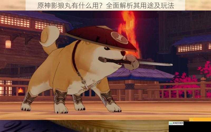 原神影狼丸有什么用?全面解析其用途及玩法