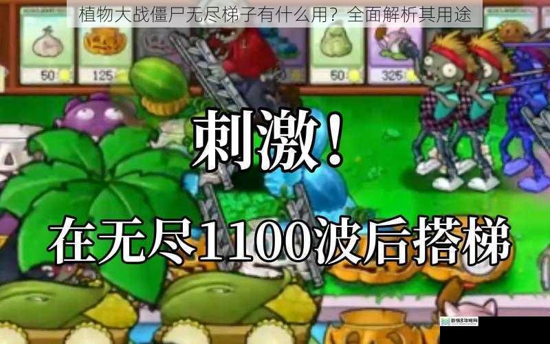 植物大战僵尸无尽梯子有什么用?全面解析其用途