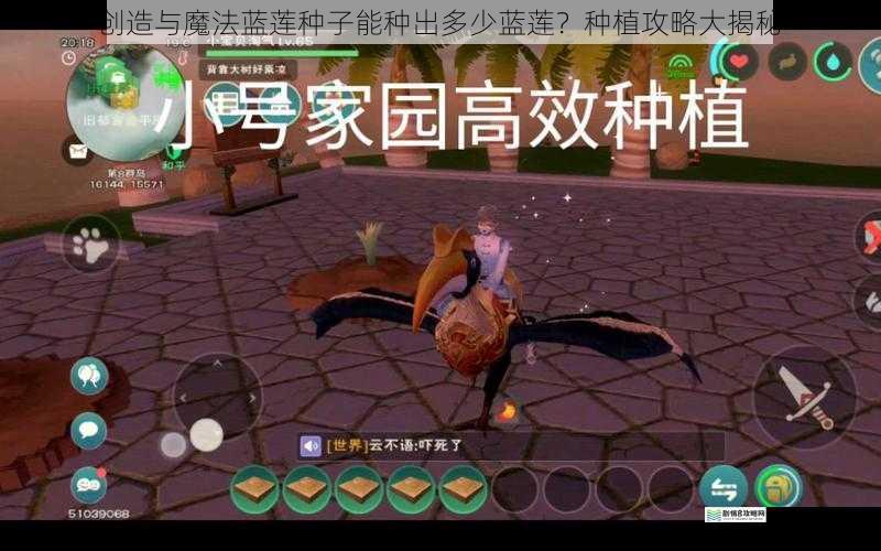 创造与魔法蓝莲种子能种出多少蓝莲?种植攻略大揭秘