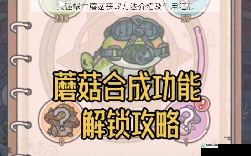 最强蜗牛蘑菇获取方法介绍及作用汇总