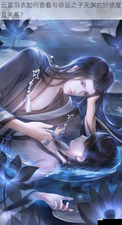云裳羽衣如何查看与命运之子天渊的好感度及关系?
