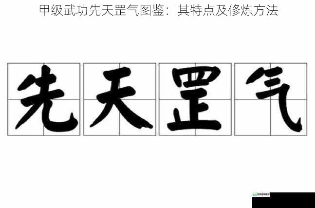 甲级武功先天罡气图鉴:其特点及修炼方法