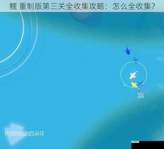 鲤 重制版第三关全收集攻略:怎么全收集?