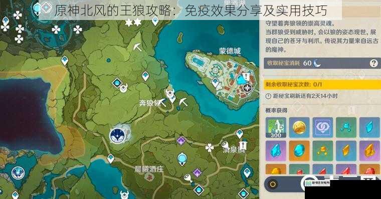原神北风的王狼攻略:免疫效果分享及实用技巧