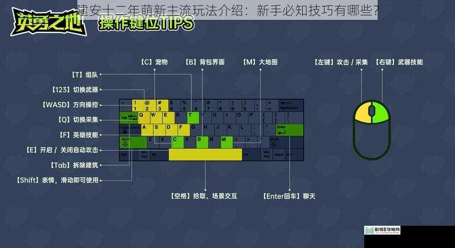 建安十二年萌新主流玩法介绍:新手必知技巧有哪些?