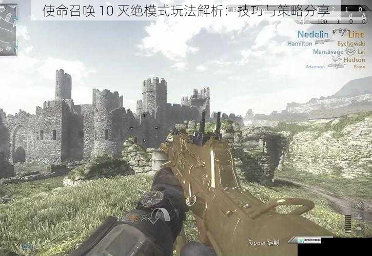 使命召唤 10 灭绝模式玩法解析:技巧与策略分享