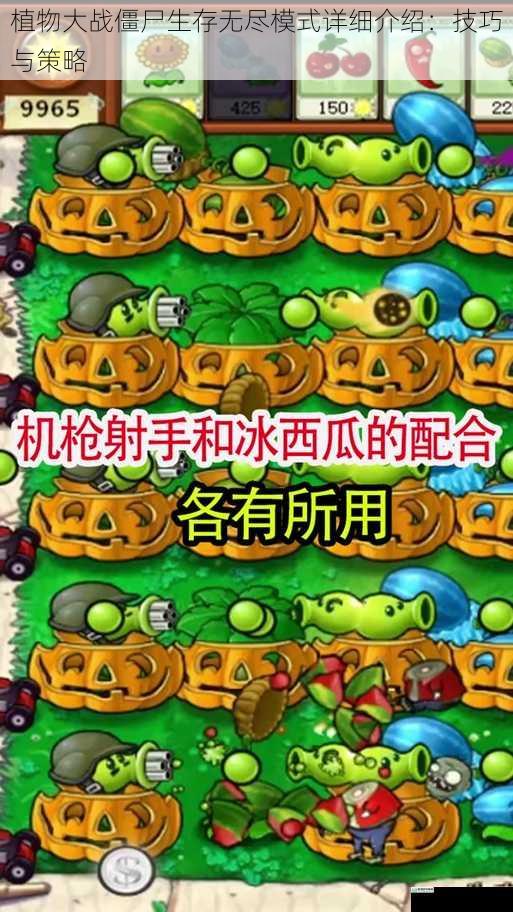 植物大战僵尸生存无尽模式详细介绍:技巧与策略