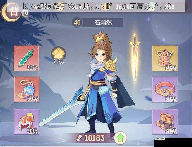 长安幻想微氪宠物培养攻略:如何高效培养?