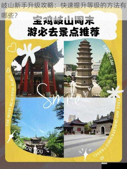 岐山新手升级攻略:快速提升等级的方法有哪些?