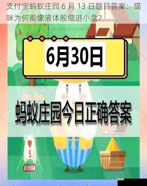 支付宝蚂蚁庄园 6 月 13 日题目答案:猫咪为何能像液体般缩进小盒?