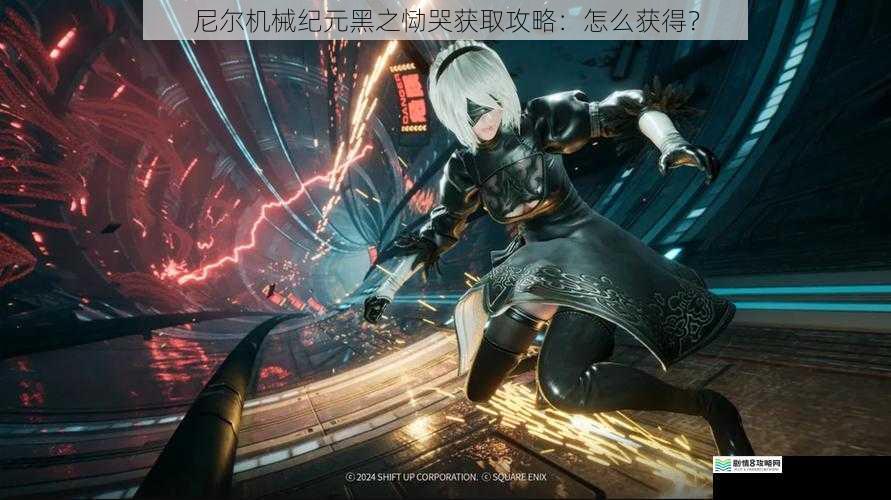 尼尔机械纪元黑之恸哭获取攻略:怎么获得?