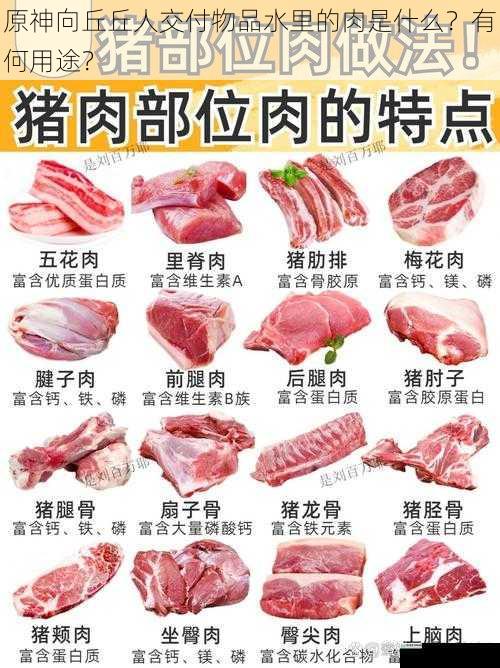 肉的来源与特性