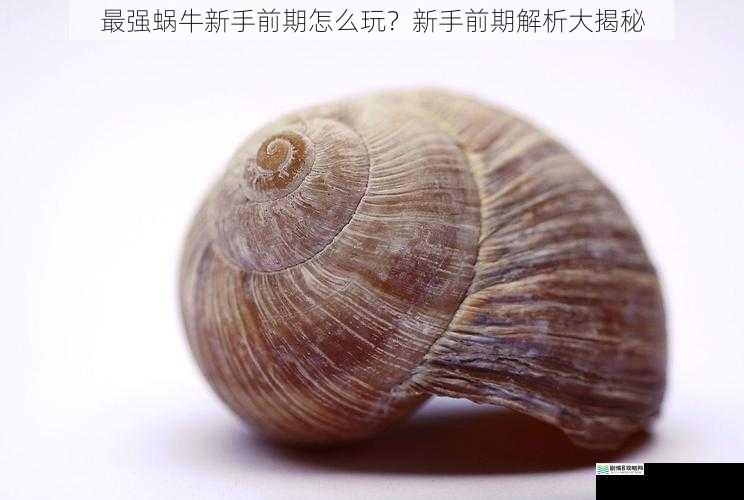 选择合适的初始蜗牛
