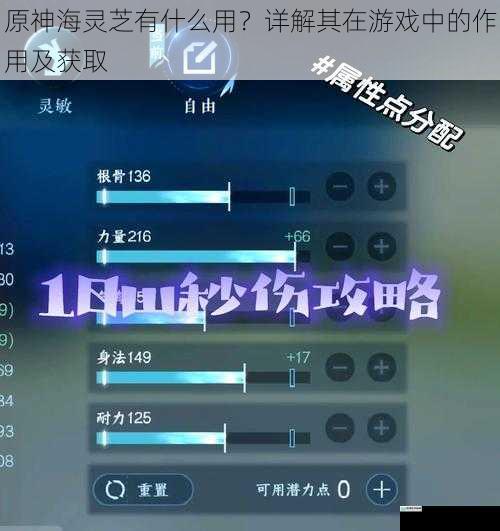 提升角色属性