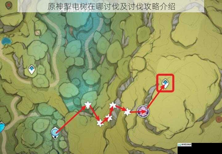 掣电树的分布位置
