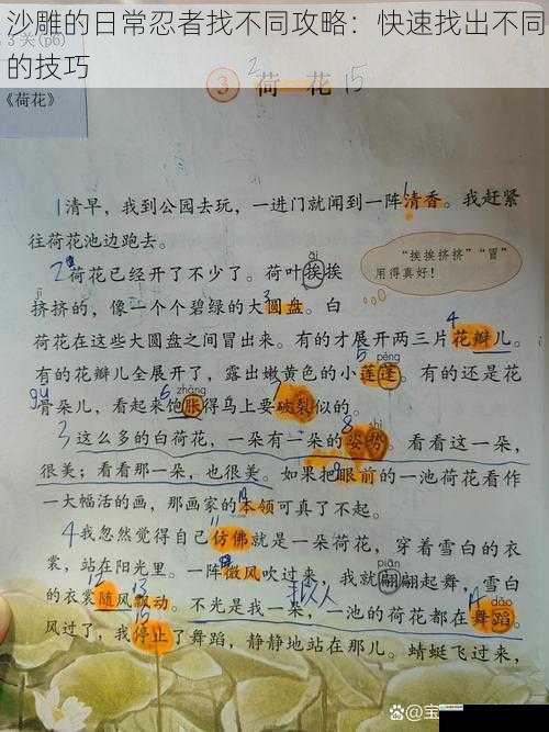 观察细节