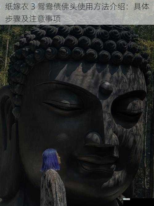 寻得佛头