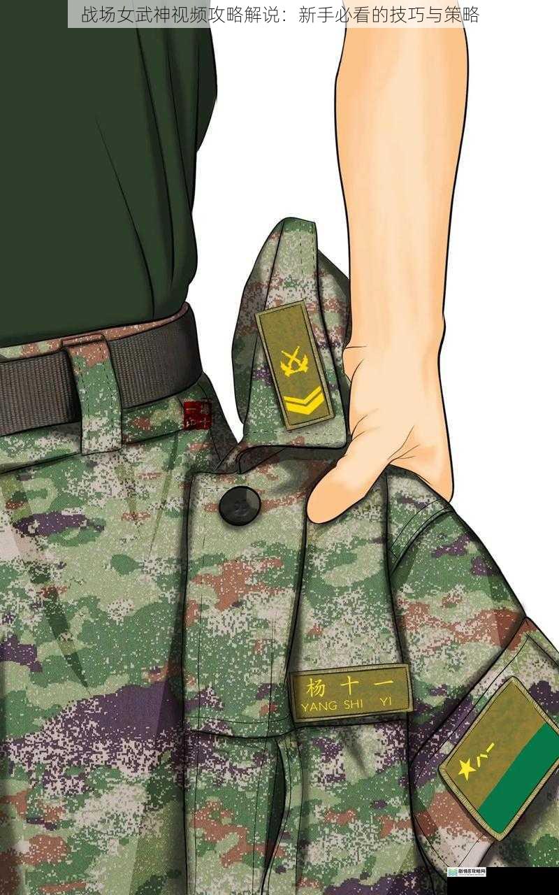 兵种搭配与运用