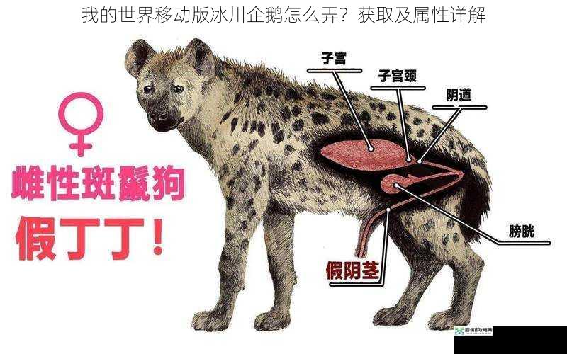 获取方式一:繁殖