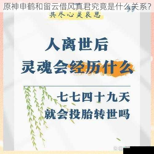 身世背景之关联