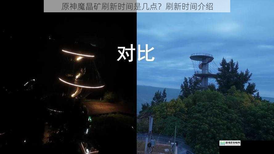 白天与黑夜的影响