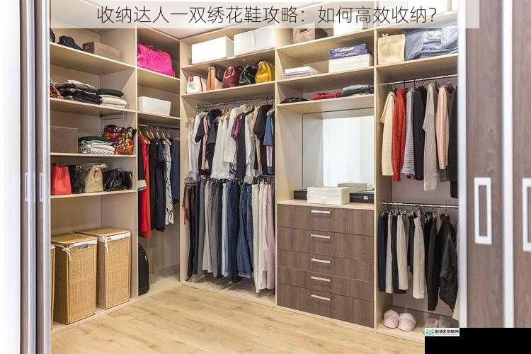 分类整理,有序存放