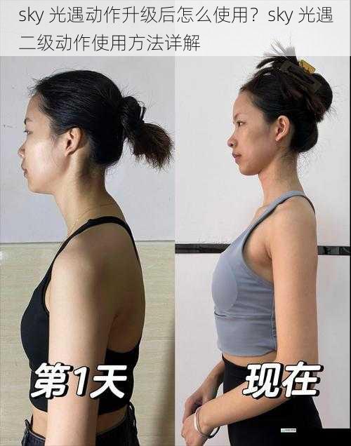 动作升级后的外观变化