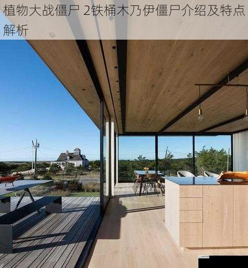 外观与造型