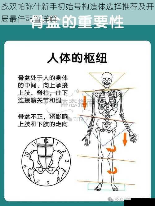 构造体属性与定位