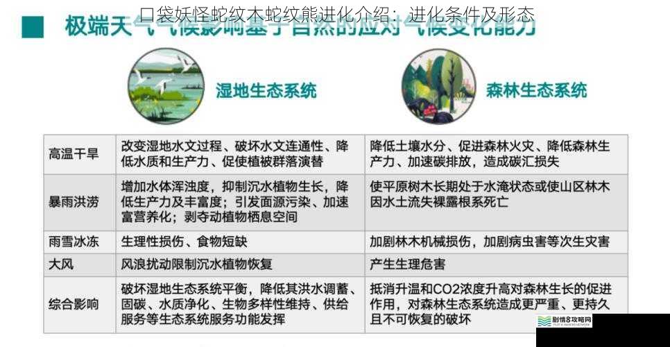 环境因素对进化的影响