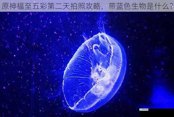 蓝色生物的种类