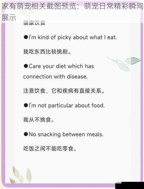 饮食篇