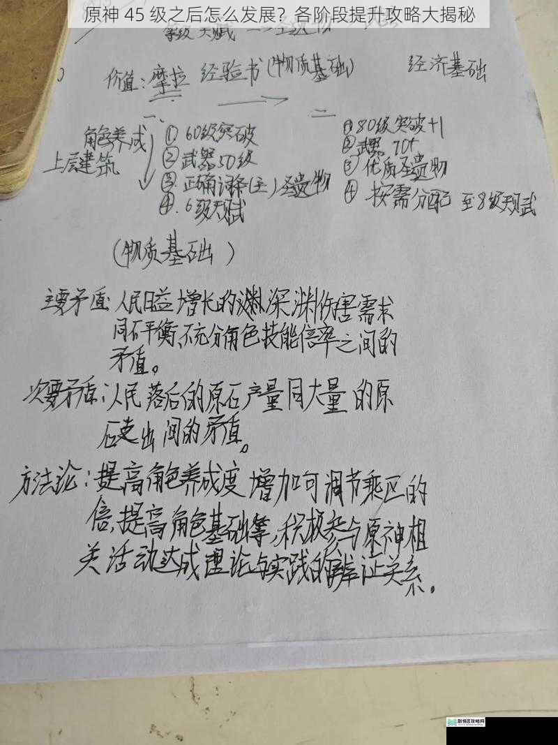 角色培养与提升