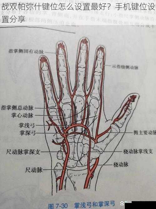 手指操作区域规划