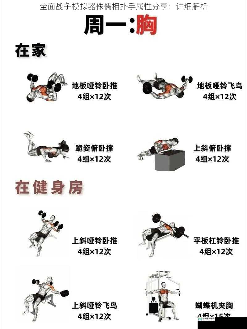 体型与力量属性