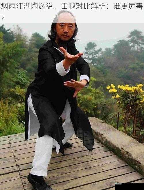 武功造诣