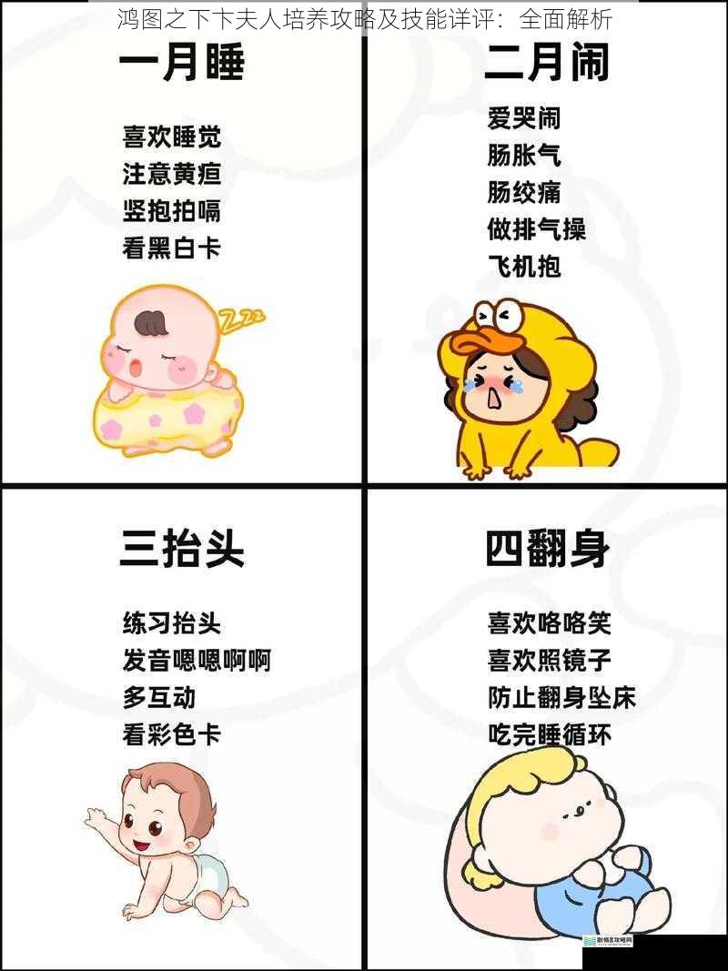 基础属性与成长