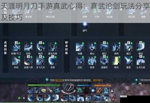 技能搭配与连招