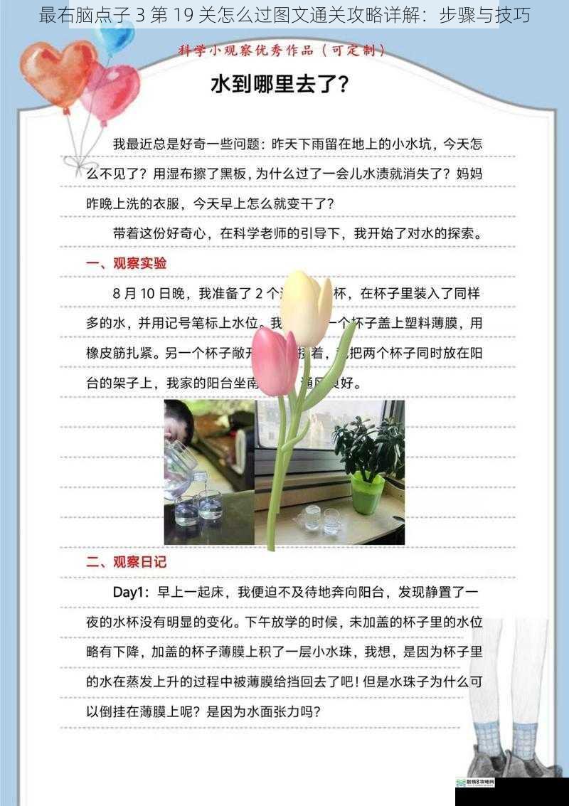 观察细节,寻找线索