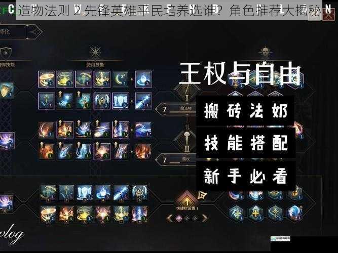 技能搭配与适用性
