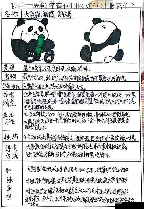 熊猫的用途